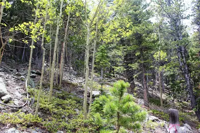 16564A Pennsylvania, Idaho Springs, CO 80461 - Photo 7