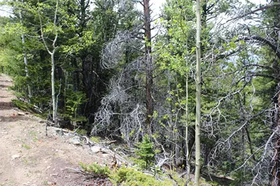 16564A Pennsylvania, Idaho Springs, CO 80461 - Photo 3