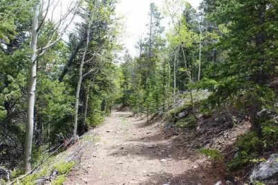 16564A Pennsylvania, Idaho Springs, CO 80461 - Photo 5