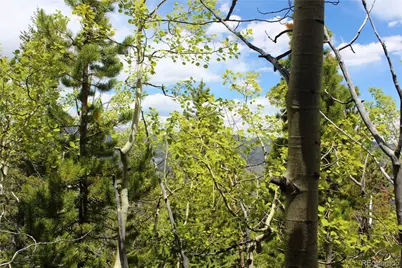 16564A Pennsylvania, Idaho Springs, CO 80461 - Photo 13