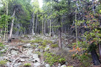 16564A Pennsylvania, Idaho Springs, CO 80461 - Photo 19