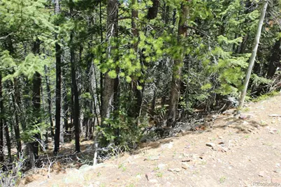 16564A Pennsylvania, Idaho Springs, CO 80461 - Photo 9