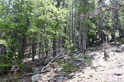 16564A Pennsylvania, Idaho Springs, CO 80461 - Photo 11