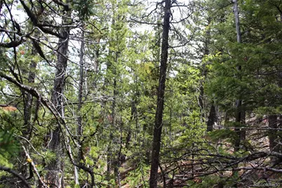 16564A Pennsylvania, Idaho Springs, CO 80461 - Photo 17