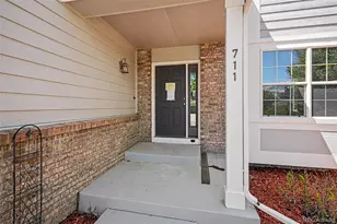 711 Briar Ridge Ct, Castle Pines, CO 80108 - Photo 3