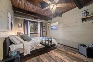 193 Mary Beth Rd, Evergreen, CO 80439 - Photo 23