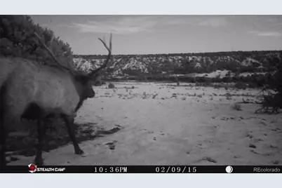 L26 Cl&g Unit Bb, Gardner, CO 81040 - Photo 7