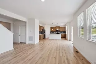 14264 Beebalm Ave, Parker, CO 80134 - Photo 5