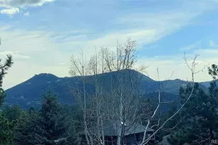 4257 Troutdale Village Dr, Evergreen, CO 80439 - Photo 35