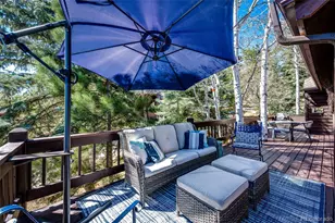 4257 Troutdale Village Dr, Evergreen, CO 80439 - Photo 37