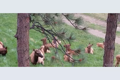 4257 Troutdale Village Drive, Evergreen, CO 80439 - Photo 39