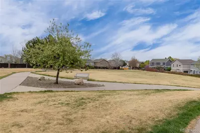 11036 Columbine Street, Northglenn, CO 80233 - Photo 37