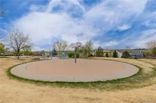 11036 Columbine St, Northglenn, CO 80233 - Photo 35