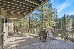 10342 Buena Vista Dr, Conifer, CO 80433 - Photo 35