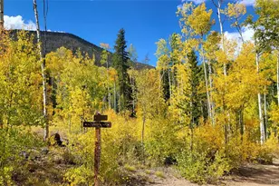 200 Granite St, Frisco, CO 80443 - Photo 25