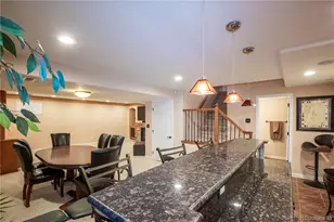 3980 Mallard Dr, Highlands Ranch, CO 80126 - Photo 31