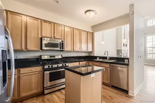 1699 N Downing St, Denver, CO 80218 - Photo 11
