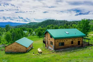 133 Vail Dr, Florissant, CO 80816 - Photo 29