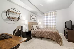 1548 McMurdo Trail, Castle Rock, CO 80108 - Photo 37