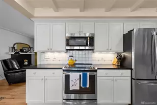 3047 S Holly Pl, Denver, CO 80222 - Photo 15
