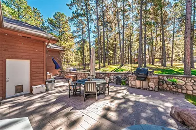 1210 Kenosha Drive, Larkspur, CO 80118 - Photo 43