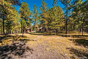 1210 Kenosha Dr, Larkspur, CO 80118 - Photo 45