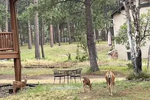 1210 Kenosha Dr, Larkspur, CO 80118 - Photo 47