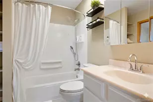 581 Longfellow Ln, Highlands Ranch, CO 80126 - Photo 19