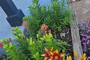 581 Longfellow Ln, Highlands Ranch, CO 80126 - Photo 37