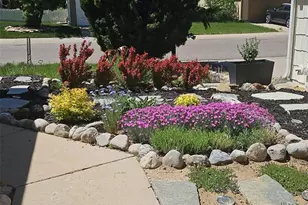 581 Longfellow Ln, Highlands Ranch, CO 80126 - Photo 39