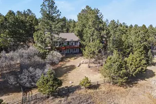 730 Tenderfoot Dr, Larkspur, CO 80118 - Photo 45