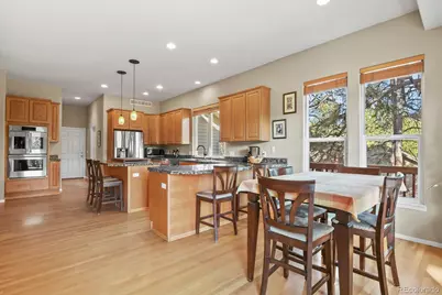 730 Tenderfoot Drive, Larkspur, CO 80118 - Photo 7