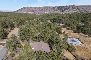 730 Tenderfoot Dr, Larkspur, CO 80118 - Photo 43