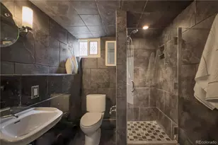 926 Steele St, Denver, CO 80206 - Photo 33