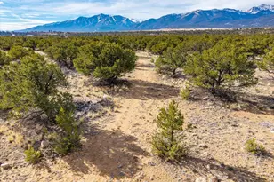 33071 Co Rd 371, Buena Vista, CO 81211 - Photo 19