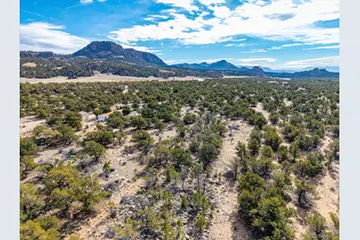 33071 County Road 371, Buena Vista, CO 81211 - Photo 21