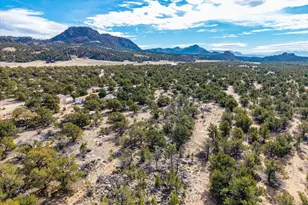 33071 Co Rd 371, Buena Vista, CO 81211 - Photo 21