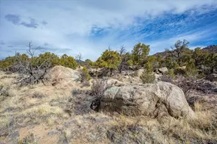 33071 Co Rd 371, Buena Vista, CO 81211 - Photo 25