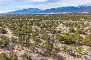 33071 Co Rd 371, Buena Vista, CO 81211 - Photo 17