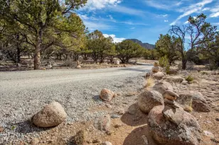 33071 Co Rd 371, Buena Vista, CO 81211 - Photo 3