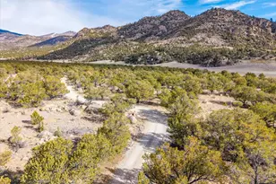 33071 Co Rd 371, Buena Vista, CO 81211 - Photo 5