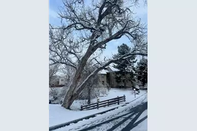 6305 W 6th Avenue #D16, Lakewood, CO 80214 - Photo 37