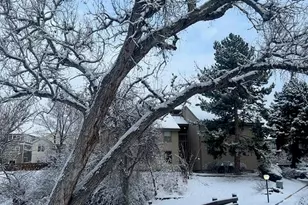 6305 W 6th Ave, Lakewood, CO 80214 - Photo 37