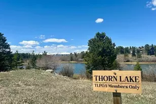 4 Gap Rd, Black Hawk, CO 80422 - Photo 41