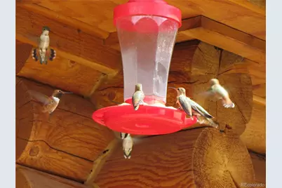 8960 County Road 164, Salida, CO 81201 - Photo 35