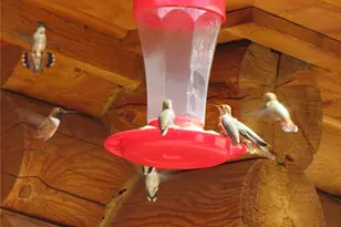 8960 Co Rd 164, Salida, CO 81201 - Photo 35