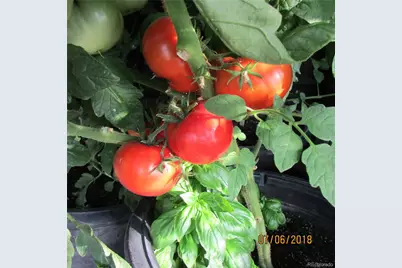 8960 County Road 164, Salida, CO 81201 - Photo 31