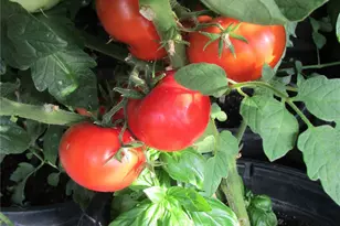 8960 Co Rd 164, Salida, CO 81201 - Photo 31