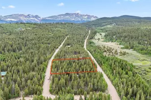 64 Skidoo Rd, Fairplay, CO 80440 - Photo 1