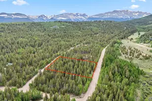 64 Skidoo Rd, Fairplay, CO 80440 - Photo 31